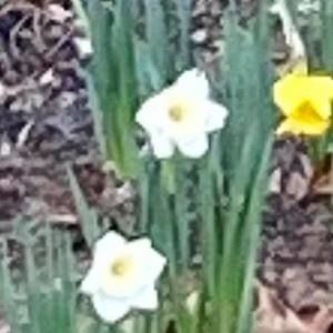 Meet your Posher, Debra